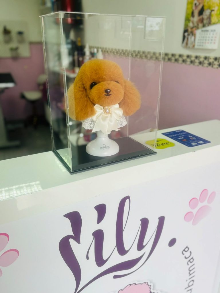 Salon Lily – uređivanje i njega kućnih ljubimaca, Velika Gorica